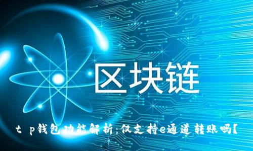 t p钱包功能解析：仅支持e通道转账吗？
