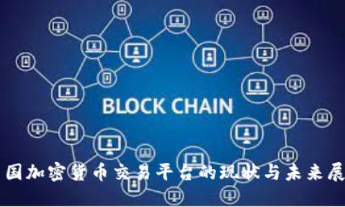 中国加密货币交易平台的现状与未来展望