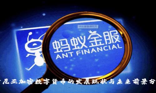 肯尼亚加密数字货币的发展现状与未来前景分析