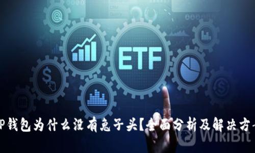 TP钱包为什么没有兔子头？全面分析及解决方案