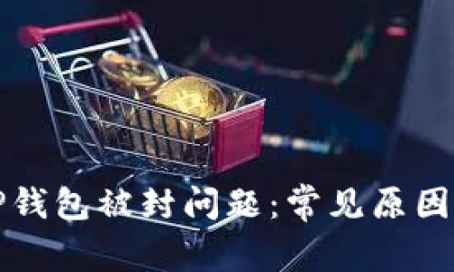 如何解决TP钱包被封问题：常见原因及解决方案