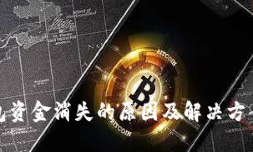 TP钱包资金消失的原因及解决方案详解