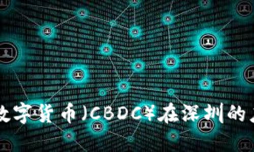 中央银行数字货币（CBDC）在深圳的应用与发展