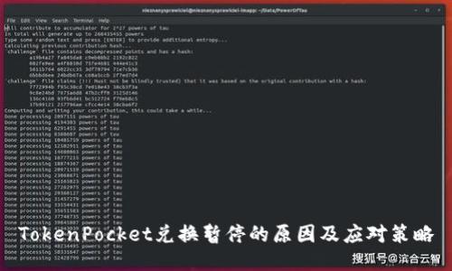 TokenPocket兑换暂停的原因及应对策略