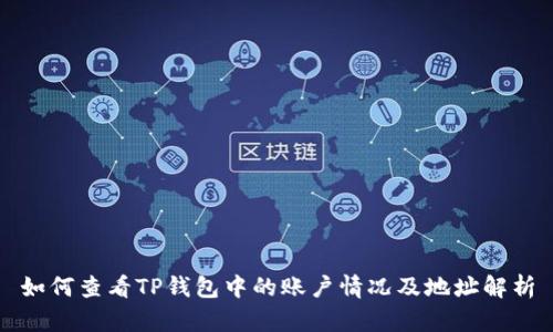 如何查看TP钱包中的账户情况及地址解析