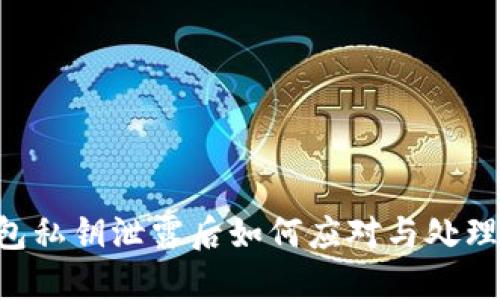优质TP钱包私钥泄露后如何应对与处理：全面指南