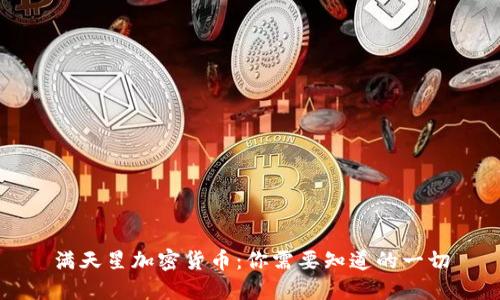 满天星加密货币：你需要知道的一切