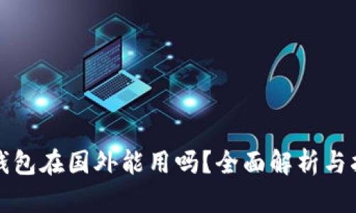TP钱包在国外能用吗？全面解析与指南