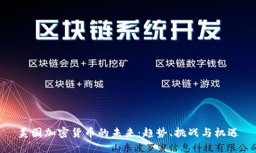 美国加密货币的未来：趋势、挑战与机遇