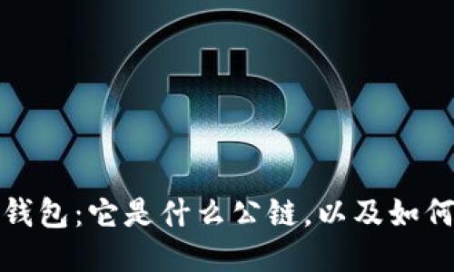 探秘TP钱包：它是什么公链，以及如何使用它