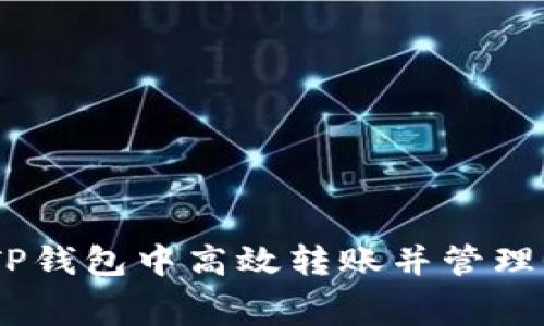 如何在TP钱包中高效转账并管理Gas费用