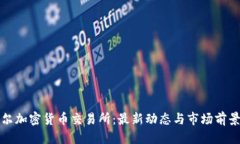优质尼泊尔加密货币交易
