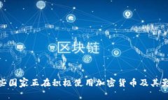 哪些国家正在积极使用加