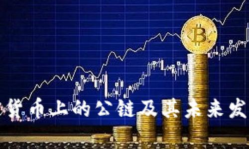 什么是加密货币上的公链及其未来发展前景分析
