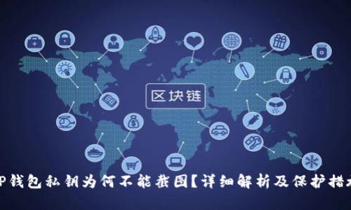 TP钱包私钥为何不能截图？详细解析及保护措施