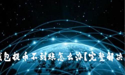 TP钱包提币不到账怎么办？完整解决指南