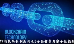 TP钱包的私钥是什么？全面解析与安全性指南