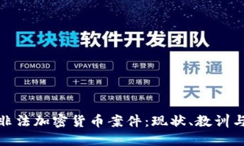 深入探讨非法加密货币案件：现状、教训与未来风险