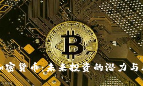 爆炸头加密货币：未来投资的潜力与风险解析
