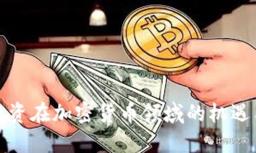 风险投资在加密货币领域的机遇与挑战