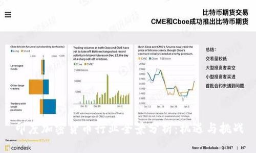 印度加密货币行业全景分析：机遇与挑战