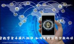 加密数字货币团队测评：