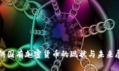 伊朗国有加密货币的现状与未来展望