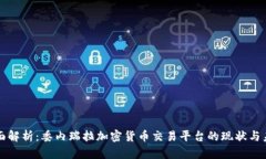 全面解析：委内瑞拉加密