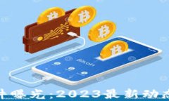 加密货币盗窃案件曝光：2023最新动态与安全防范