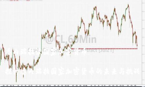 委内瑞拉谈国家加密货币

探讨委内瑞拉国家加密货币的未来与挑战