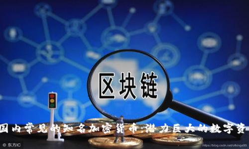  国内常见的知名加密货币：潜力巨大的数字资产