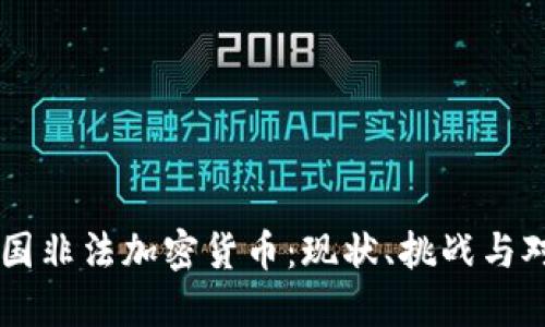 中国非法加密货币：现状、挑战与对策