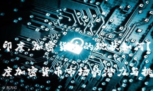 在印度，加密货币的现状如何？

印度加密货币市场的潜力与挑战