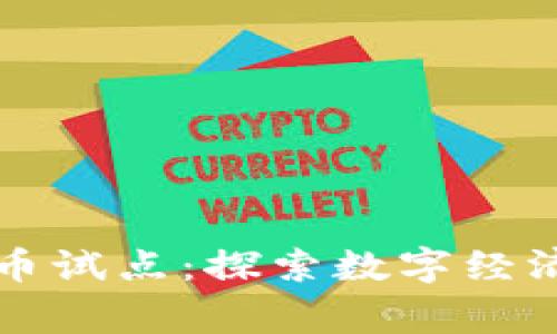 国家加密货币试点：探索数字经济的未来之路