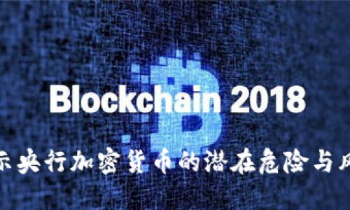 揭示央行加密货币的潜在危险与风险