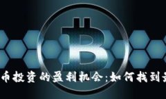 2023年加密货币投资的盈利