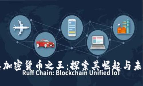 土耳其加密货币之王：探索其崛起与未来潜力