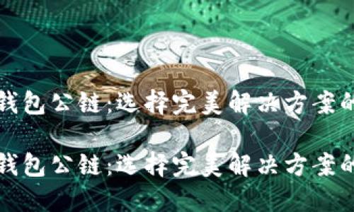 加密货币钱包公链：选择完美解决方案的终极指南

加密货币钱包公链：选择完美解决方案的终极指南