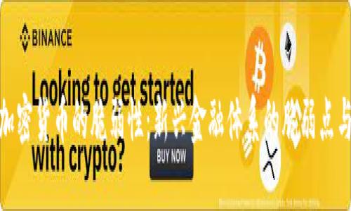 探讨加密货币的脆弱性：新兴金融体系的脆弱点与机遇