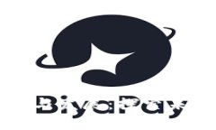 新加密货币的产生与发展