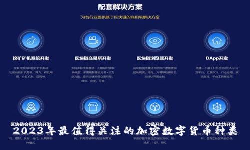 2023年最值得关注的加密数字货币种类