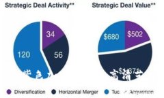 畅游于紫色加密货币的高