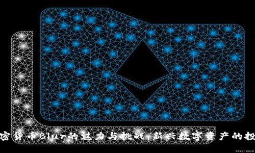 探究加密货币Blur的魅力与挑战：新兴数字资产的投资机会
