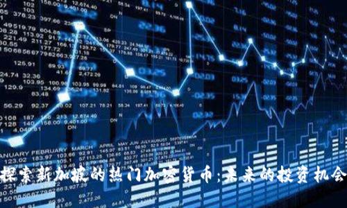 探索新加坡的热门加密货币：未来的投资机会