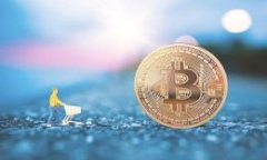 如何挑选美味的TP钱包薄饼