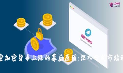 解密加密货币上涨的幕后原因：深入分析市场动态