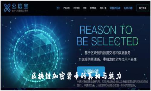 区块链加密货币的真相与魅力