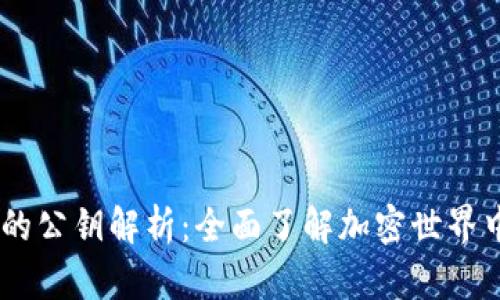 ## TP钱包的公钥解析：全面了解加密世界中的安全基石