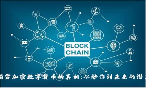 揭露加密数字货币的真相：从炒作到未来的潜力