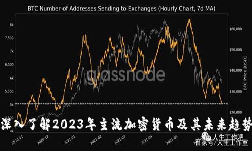 深入了解2023年主流加密货币及其未来趋势